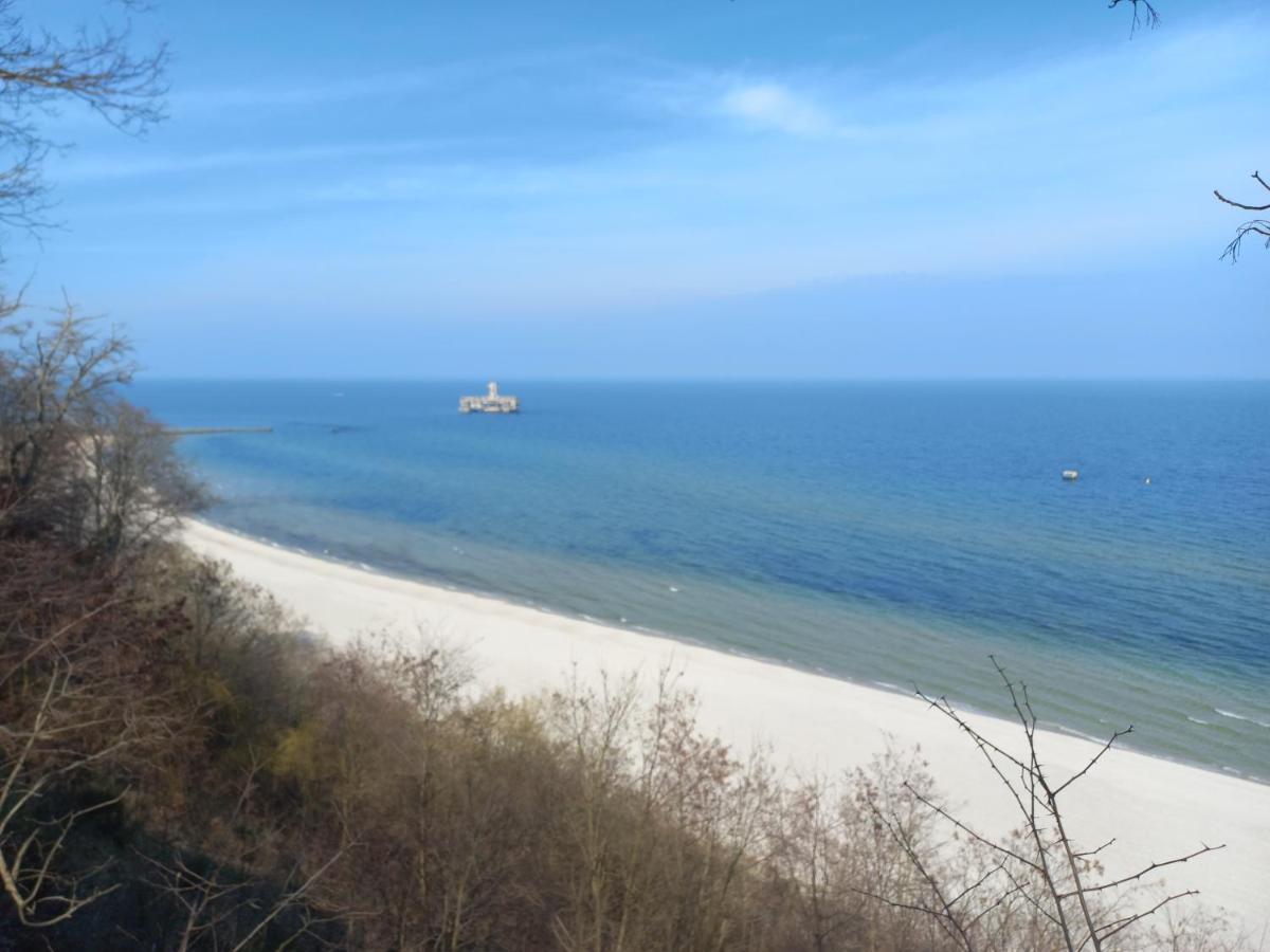 Mieszkanie Ikara 4 Gdynia Exterior photo